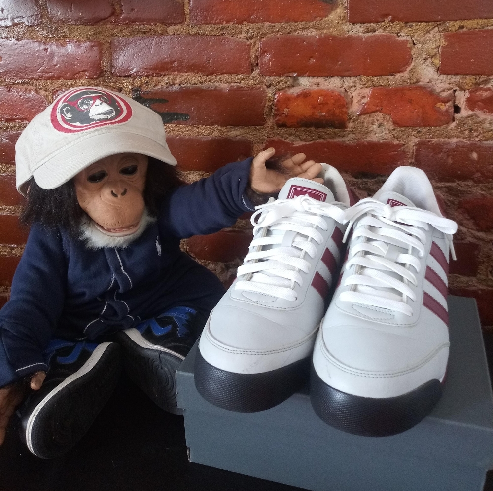 Adidas Sneakers (Great condition)